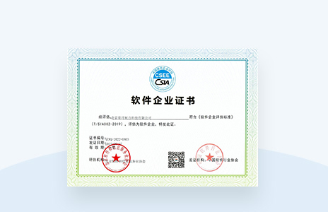 软件企业