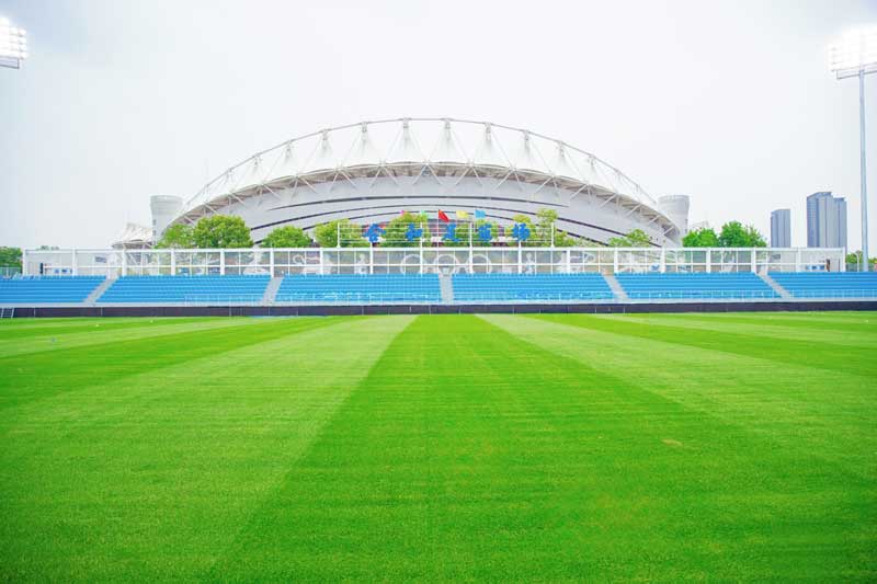五大联赛在线直播免费观看直播高清视频播放封面